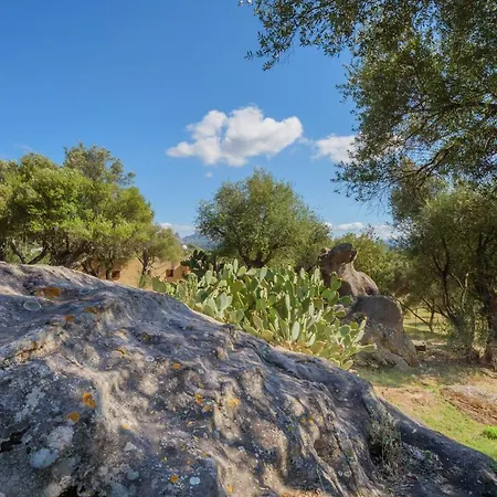 Appartamento Alexhouse Bilocale Piccolo Baja Sardinia