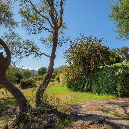 Alexhouse Bilocale Piccolo Appartamento Baja Sardinia